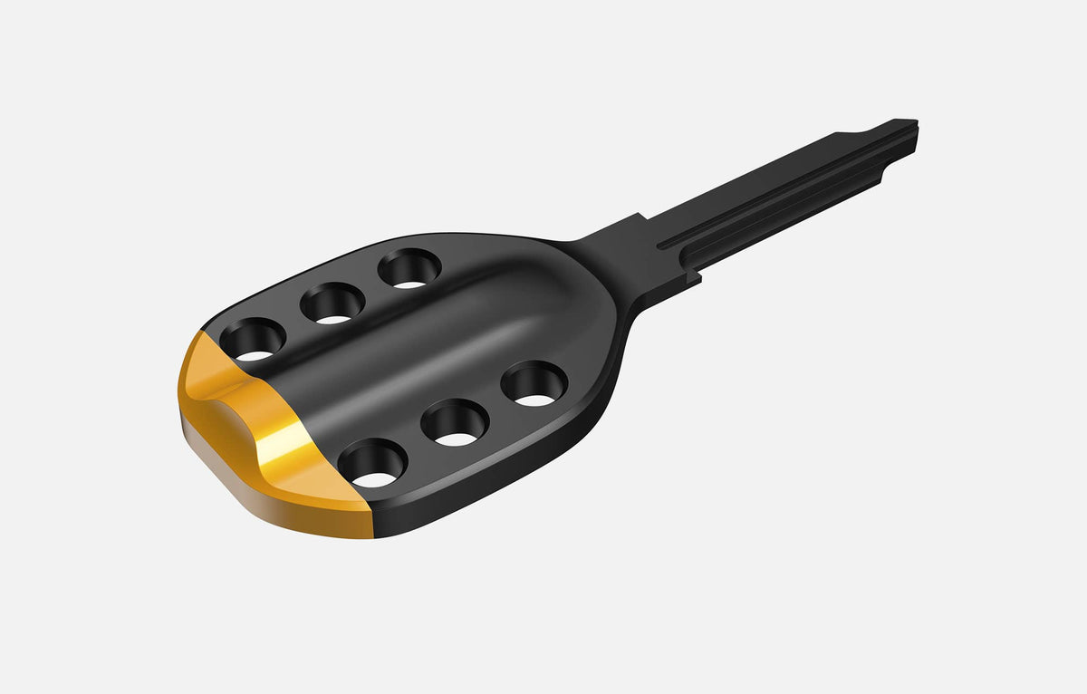 Black | Signal Yellow